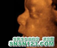 怀孕257天宝宝发育图