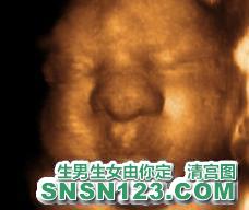 怀孕251天宝宝发育图
