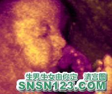 怀孕177天宝宝发育图