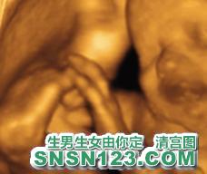 怀孕206天宝宝发育图