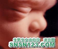 怀孕174天宝宝发育图