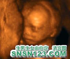 怀孕138天宝宝发育图