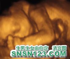 怀孕171天宝宝发育图