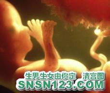 怀孕127天宝宝发育图